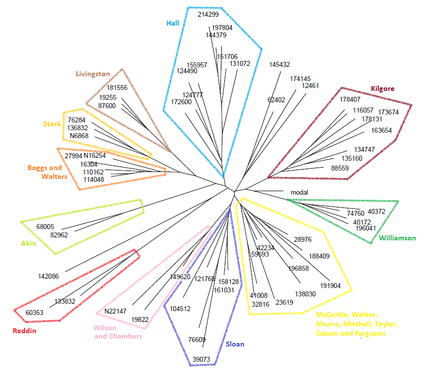 Network Diagram